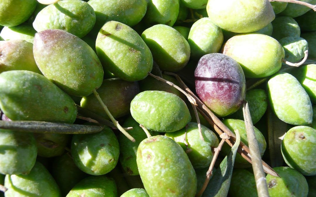 Learn all about EVOO