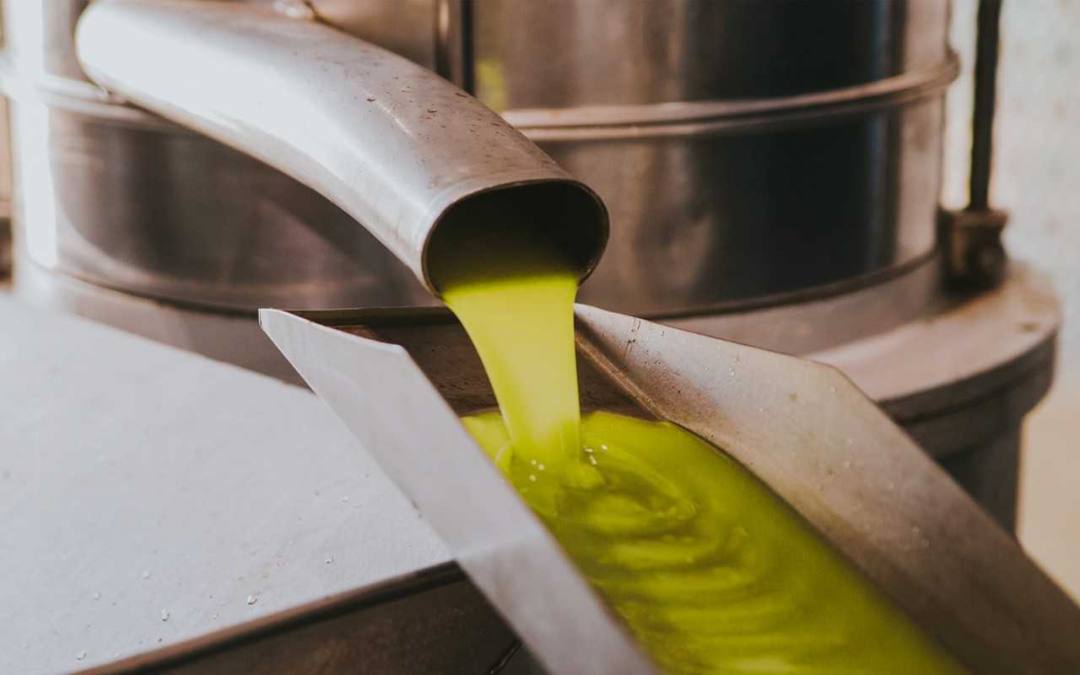 Extraction d'huile verte