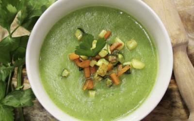 Courgette cream soup at Monsieur Cuisine: recipe step by step