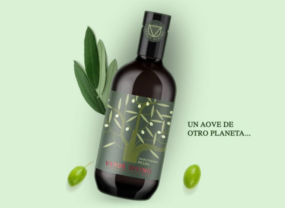 OLIVE OIL FROM JAÉN